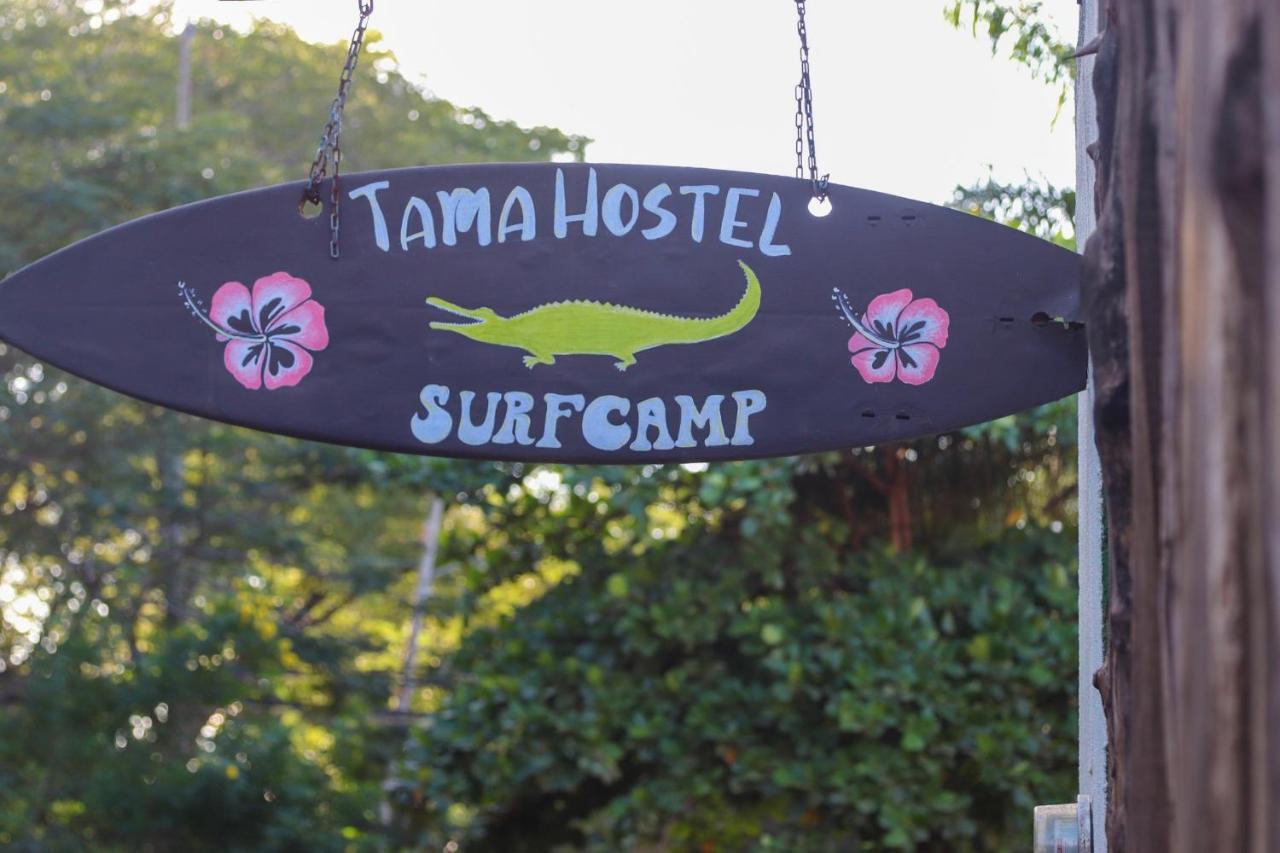 Tamahostel & Glamping Tamarindo Ngoại thất bức ảnh